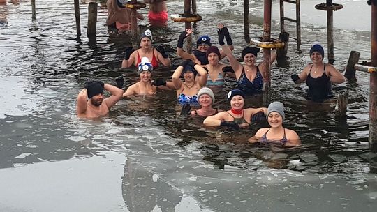 Tak morsy przez lód przebijają się do wody [FILM]