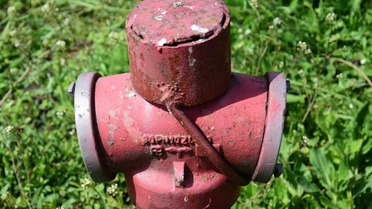 Tak wygląda ekologiczne podlewanie ogródków