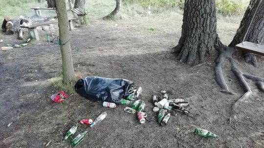 Tak wygląda ścieżka rowerowa! Co za syf! - alarmuje zbulwersowana czytelniczka 