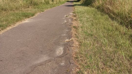 Tak wygląda zaniedbana ścieżka rowerowa