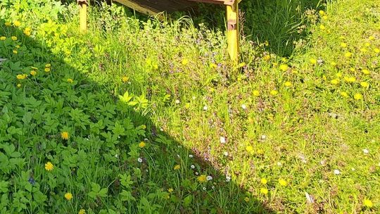 Taki spacer może być zagrożeniem - uważa czytelnik