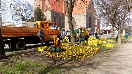 Taki widok cieszy każdego