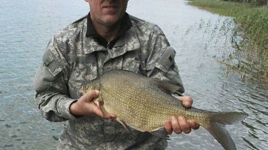 Taki widok przestaje być rzadkością