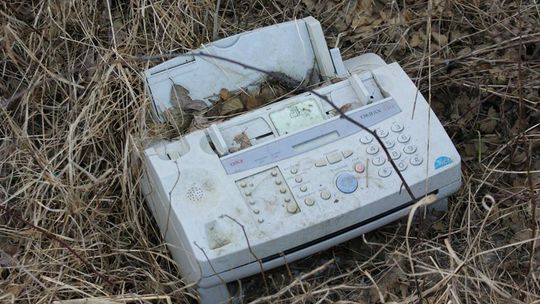 Takie rzeczy można znaleźć między Gryfinem a Żórawkami