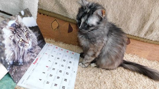 Tamara Szymańska: Dziękuję za uratowanie życia i okazaną pomoc 