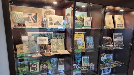 Tego o Puszczy Bukowej pewno nie wiedziałeś