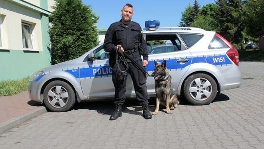 Ten pies wytropił pijanego kierowcę, który zbiegł z miejsca wypadku