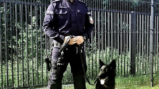 Ten pies wytropił sprawców rozboju