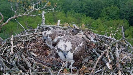 Ten z rybołowów był pierwszy