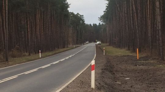 To nie droga z Gryfina do Wełtynia