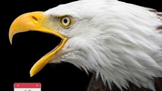 To nie tylko symbol. Mamy zagadkę