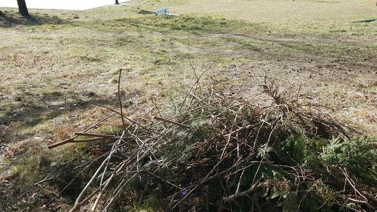 To tylko biomasa - odpowiada czytelnik na list o wyrzucaniu odpadów