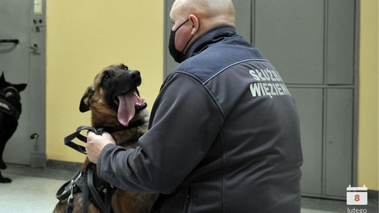 To typowo polskie święto. Dziś uroczystości wręczania odznaczeń