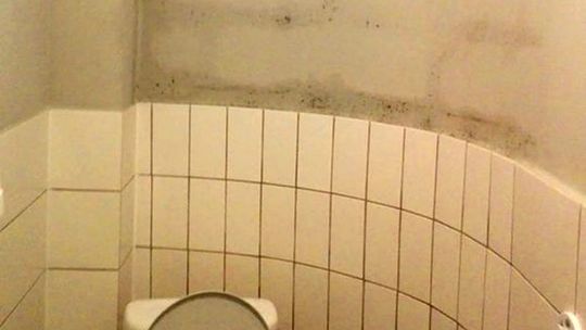 Toaleta w jednym z gryfińskich lokali gastronomicznych wprawia w osłupienie – twierdzi czytelniczka