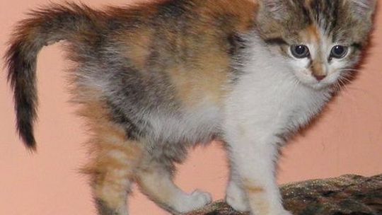 Trafił w dobre ręce