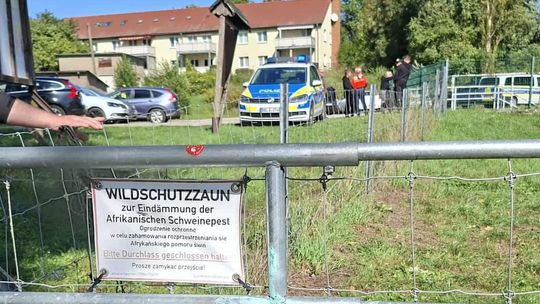 Tragiczny finał poszukiwań 44-letniej gryfinianki Tragiczny finał poszukiwań 44-letniej gryfinianki