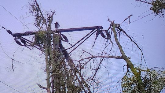 Trasa kolejowa Gryfino - Chojna zablokowana. Połamane drzewa i słupy, nie kursują pociągi 