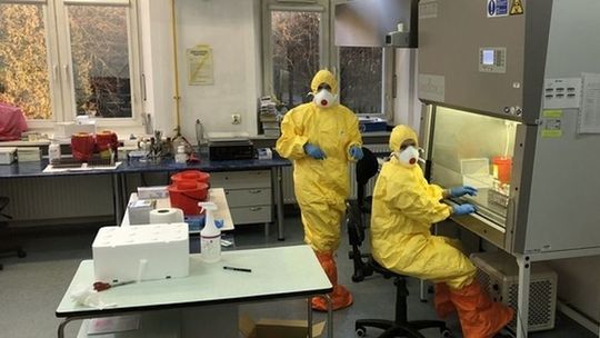 Troje ze stwierdzonym SARS-CoV-2