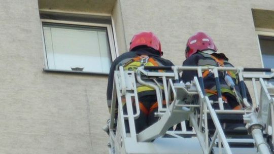 Troskliwa córka postawiła na nogi służby