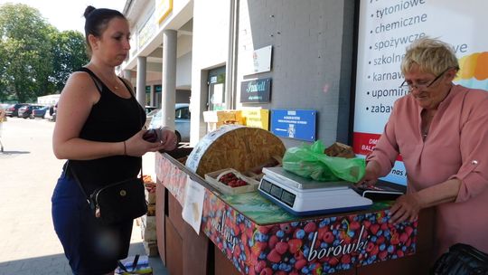 Truskawki tanieją. Wiemy, po ile można je kupić