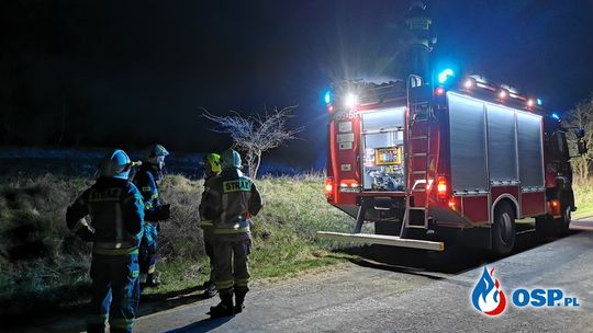 Trzcinowisko i trawy w ogniu. Nocne interwencje strażaków