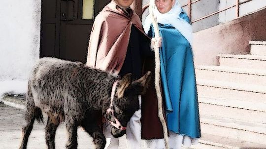 Trzej królowie z Gryfina