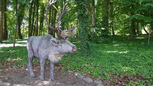 Turyści zniesmaczeni. Kolejny zwierzak uszkodzony