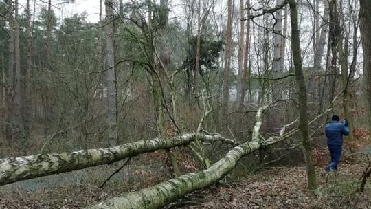 Tutaj ścieżka rowerowa jest nieprzejezdna