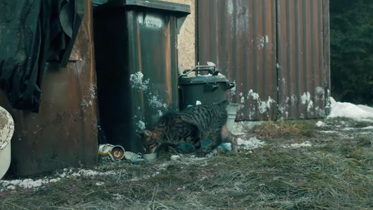 Twój mały gest ma moc ratowania życia. Podaj pomocną dłoń! Twój mały gest ma moc ratowania życia. Podaj pomocną dłoń!