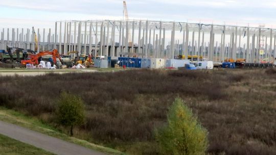 Tysiąc miejsc pracy w Zalando