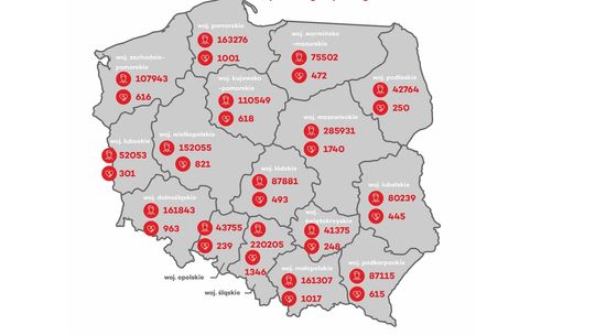 Tysiące dołączyło do bazy potencjalnych dawców szpiku. Fundacja DKMS podsumowała 2022 rok