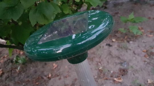 Uciążliwy dźwięk rozlega się co chwilę - skarży się czytelniczka