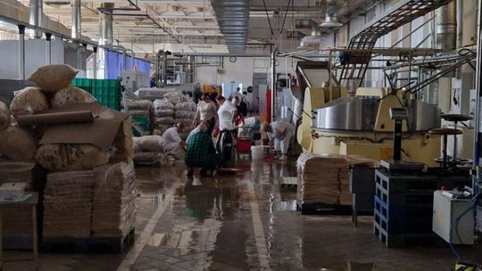 Udało się z Paluszkami Beskidzkimi, uda się z Cukrami Nyskimi? Zalane maszyny zatrzymały produkcję