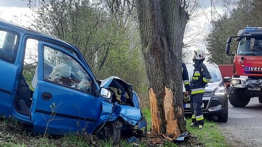 Uderzył autem w drzewo, chcąc ominąć zwierzę Uderzył autem w drzewo, chcąc ominąć zwierzę
