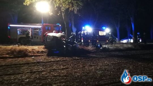 Uderzył w drzewo. Zakleszczony kierowca znajduje się w stanie ciężkim