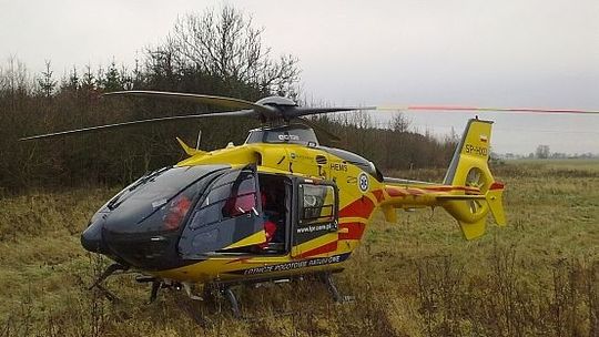 Uderzył w dzika i wpadł na drzewo