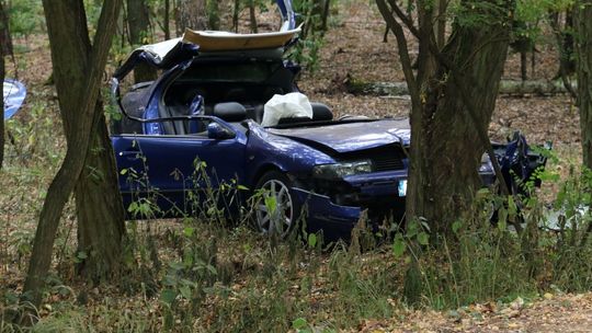 Uderzyła prosto w drzewo