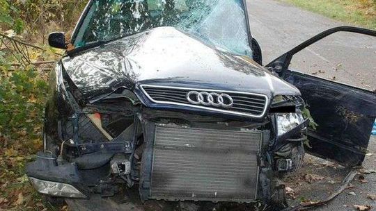 Uderzyła w drzewo. Ranni trafili do szpitala