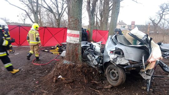 Uderzyli w drzewo. Kierowca i pasażerka ponieśli śmierć na miejscu