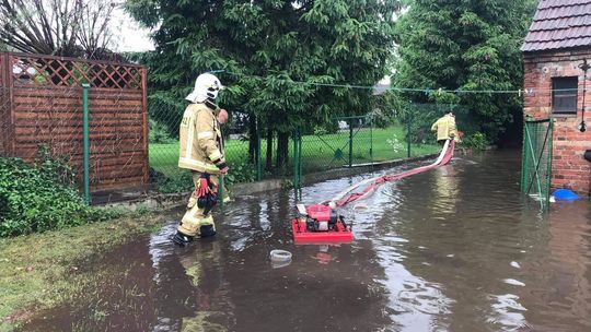 Udzielali pomocy poszkodowanemu w wypadku i ściągali kota z anteny satelitarnej. 