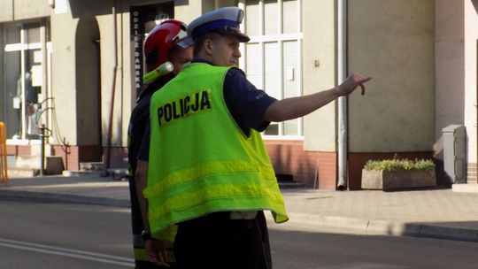 Udzielali pomocy w wypadkach i walczyli z szerszeniami