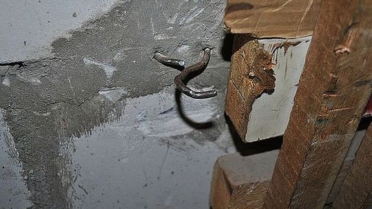 Ukradł wędkę z kołowrotkiem