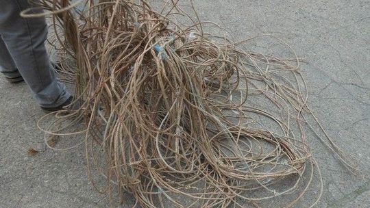 Ukradli 300 metrów kabla