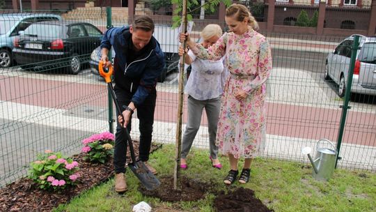 Unikać betonozy, a sadzić drzewa, żeby region był bardziej zielony Unikać betonozy, a sadzić drzewa, żeby region był bardziej zielony