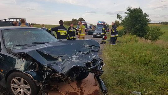 Usuwali rtęć, ratowali ptaki, brali udział w poszukiwaniach i usuwaniu skutków wypadków Usuwali rtęć, ratowali ptaki, brali udział w poszukiwaniach i usuwaniu skutków wypadków