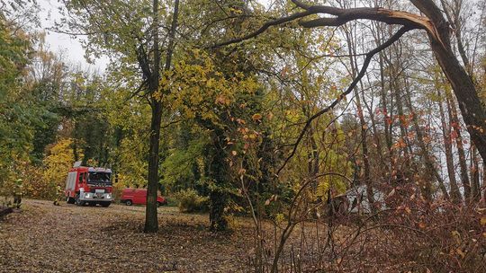 Usuwali skutki wichury