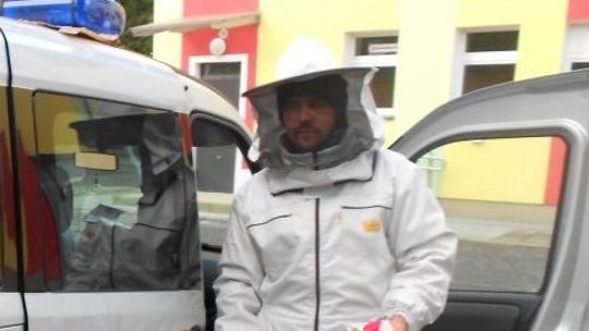 Usuwali szerszenie w przedszkolu