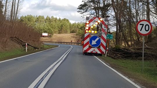 Utrudnienia na drodze. Usuwają wiatrołomy Utrudnienia na drodze. Usuwają wiatrołomy