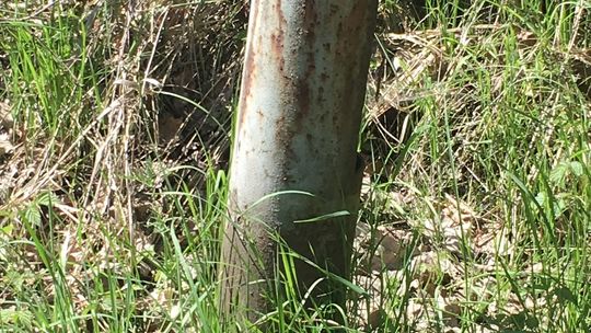 Uwaga! Niebezpieczeństwo dla rowerzystów i kierowców