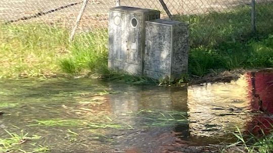 Uwaga spacerowicze! Te skrzynki elektryczne stoją w wodzie! Uwaga spacerowicze! Te skrzynki elektryczne stoją w wodzie!